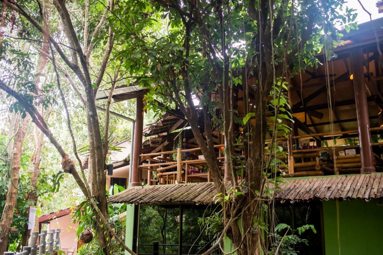Hot Coffee Guest House And Resort Ban Mae Na Chon المظهر الخارجي الصورة